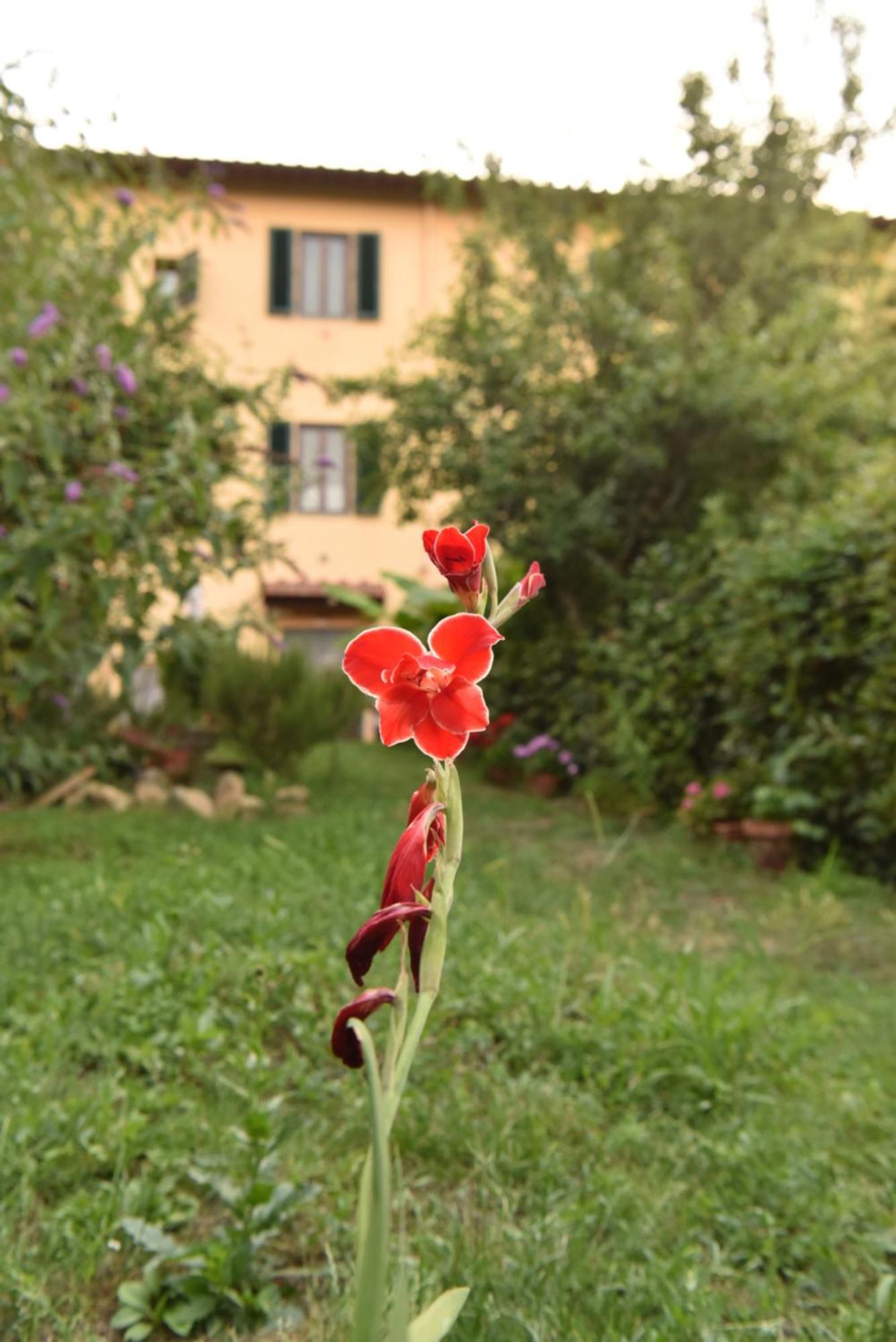 Villa Casa Pina Malmantile Esterno foto